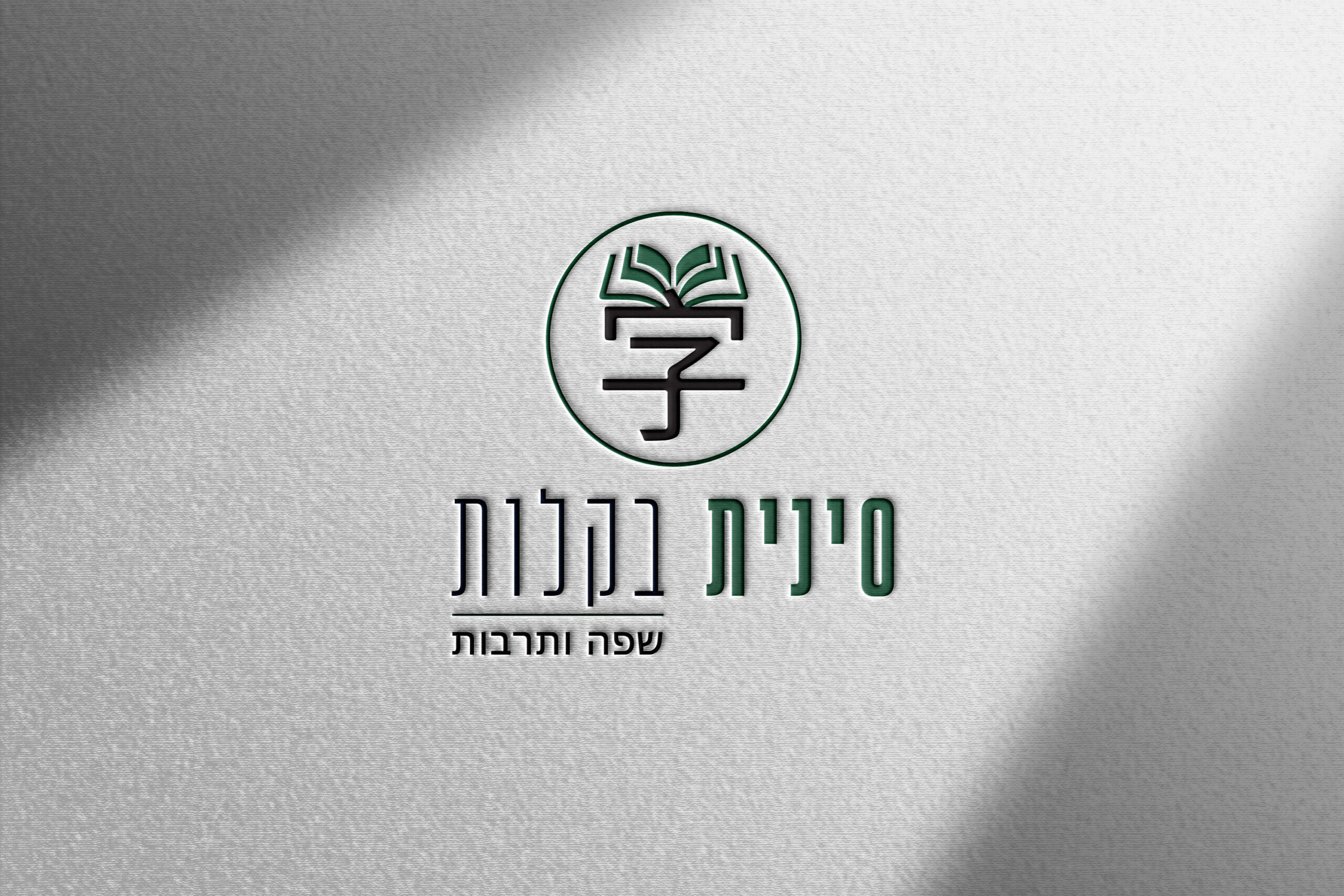 הדמיה 1